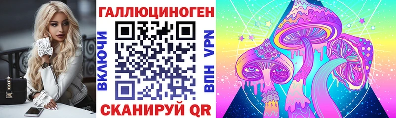 Галлюциногенные грибы Psilocybine cubensis  Красноуральск 